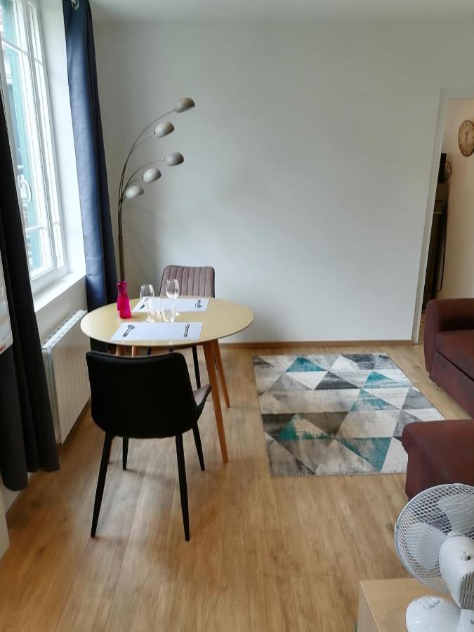 Appartement Des Roses T2, 32m2, Rdc, Vue Sur Jardin, Le Chic *